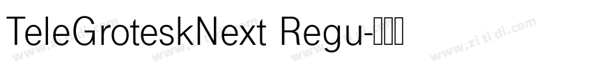 TeleGroteskNext Regu字体转换